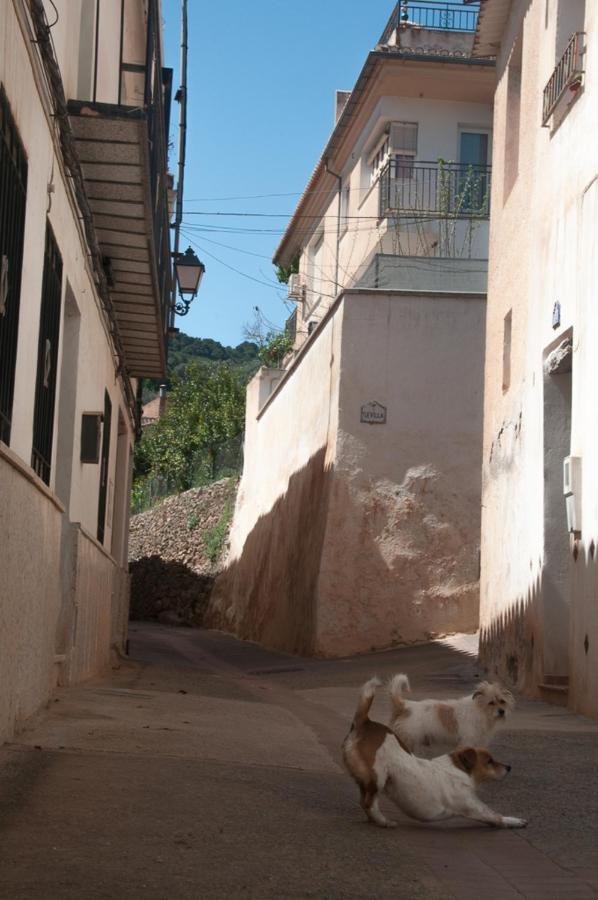 Casa Beatles Del Valle Pinos del Valle ภายนอก รูปภาพ